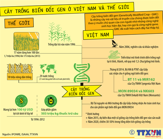 Cây trồng biến đổi gen ở Việt Nam và thế giới